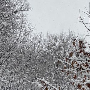 Meet your Posher, Charlotte